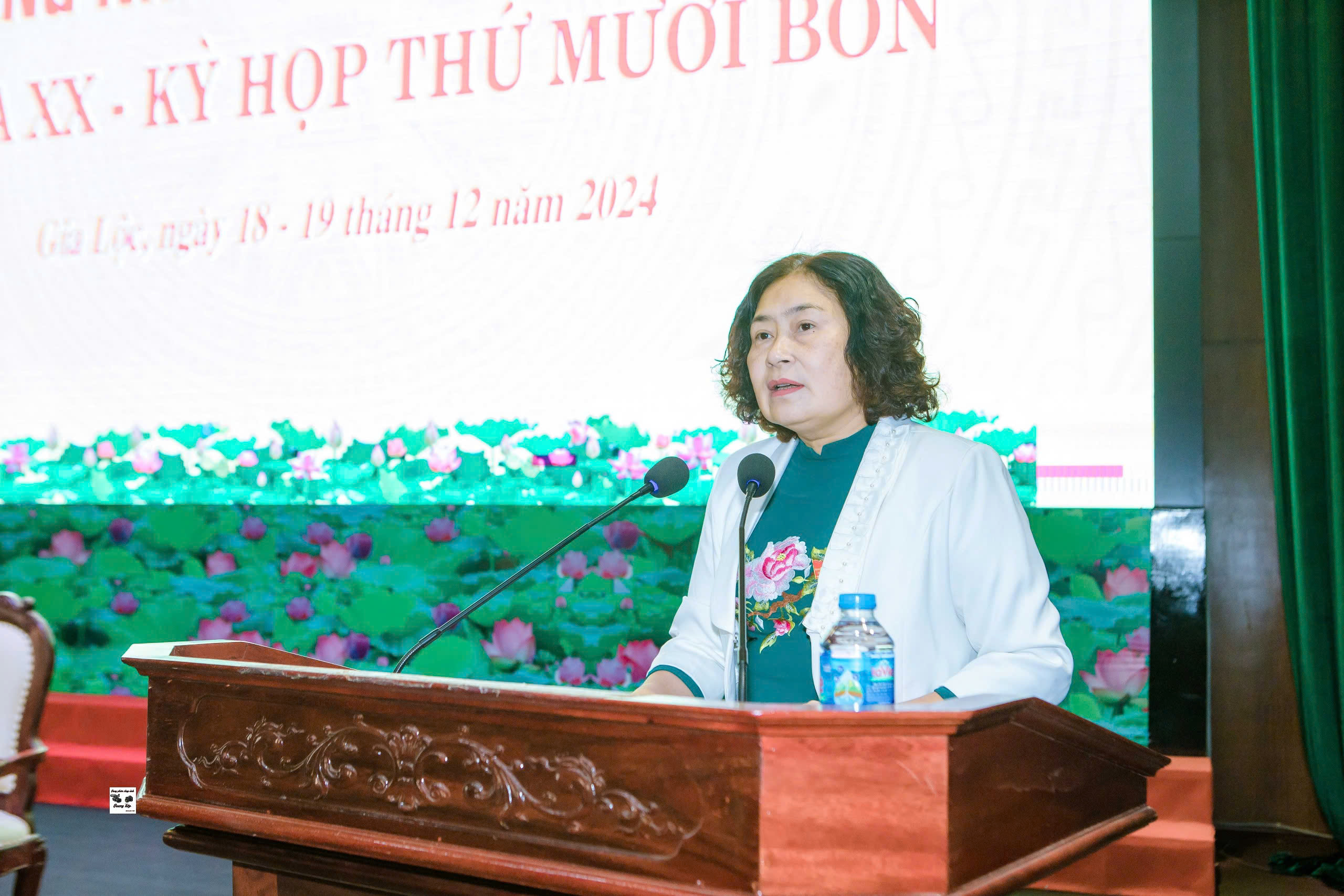 Kỳ họp 14 HDND 5.jpg
